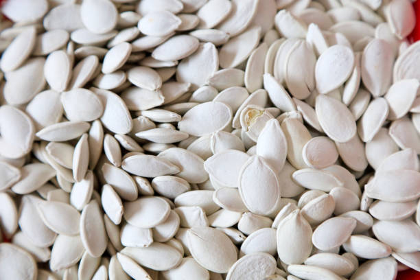 Piles of white melon seeds