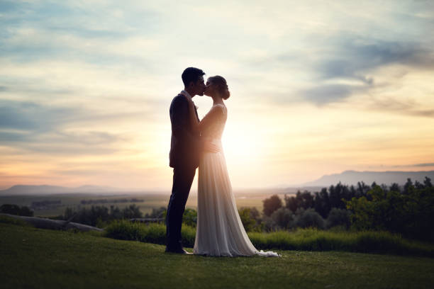 i'll love you through to our sunset years - silhouette kissing park sunset imagens e fotografias de stock