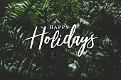 Happy Holidays Script Over Christmas Evergreen Pine Tree Background