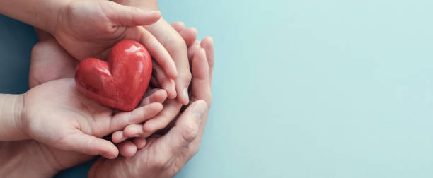 manos de adultos y niños sosteniendo el corazón rojo sobre el fondo del agua, salud del corazón, donación, concepto de rsec, día mundial del corazón, día mundial de la salud, día de la familia - love hope valentines day horizontal fotografías e imágenes de stock