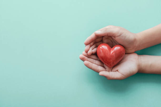 manos sosteniendo el corazón rojo sobre el fondo azul, la atención médica, el amor, la donación de órganos, el seguro familiar y el concepto de rse, el día mundial del corazón, el día mundial de la salud - heart health fotografías e imágenes de stock