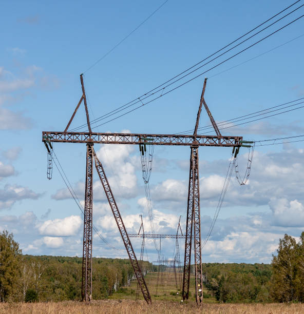 istock High voltage power line passing through a birch forest on a sunny day 1173495125