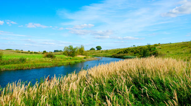 istock Beautiful summer landscape with river and green hills 1173497156