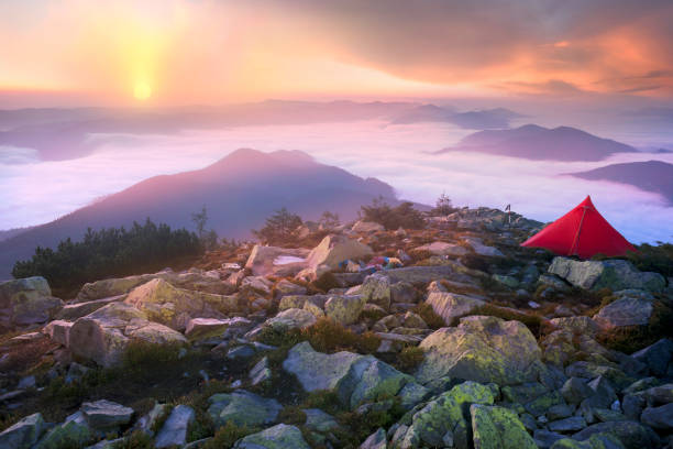 istock Star Bivouac with Red Tent 1173499904