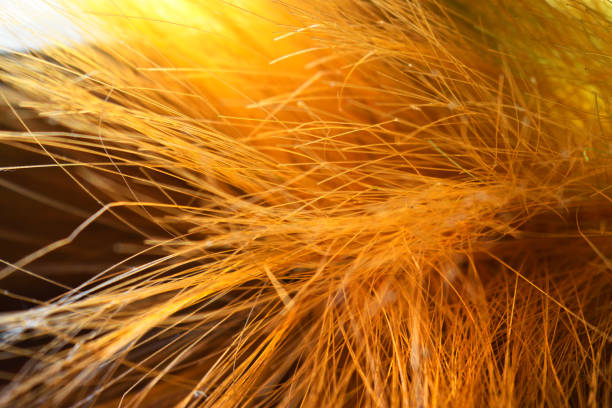 istock Light is reflecting from some plastic wires and creating a beautiful abstract background. 1173500483