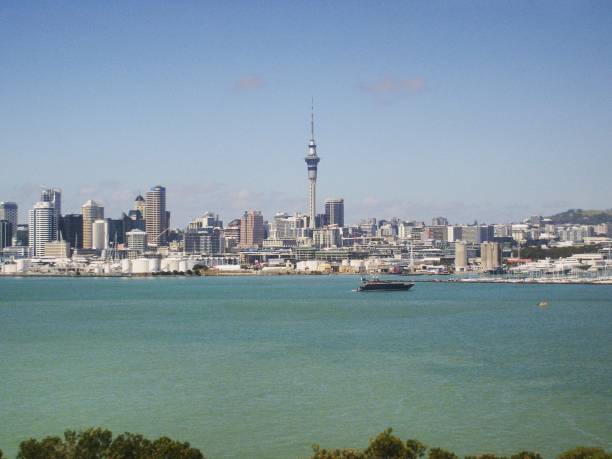 istock Auckland City View 1173502329