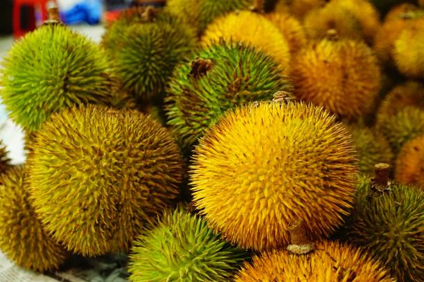 istock Durian Kuning in Gadong Night Market 1173502344