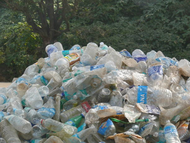 istock Wastage empty plastic water bottle  at bhimasanker in Maharashtra 1173505267