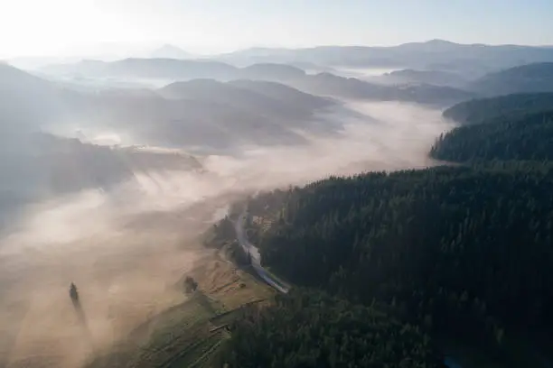Photo of Nature and Cloudcscape. Drone: Aerial view over sea of Clouds in a pine woodland. Sunbeam, mist and fog over the hills, sky point of view, on a bright sunny day.