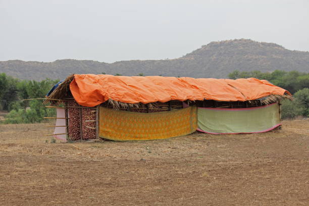 istock Traditional storage for onions in villages 1173507772
