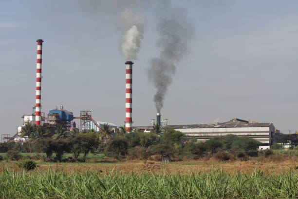 istock Sugar factory. Near Ozar, Pune 1173508493
