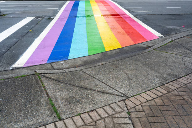 istock Gay rainbow striped zebra crossing 1173510107
