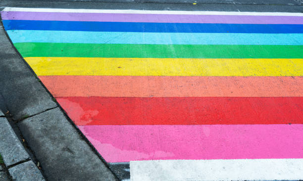istock Gay rainbow striped zebra crossing 1173510111
