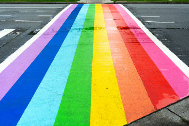 istock Gay rainbow striped zebra crossing 1173510112