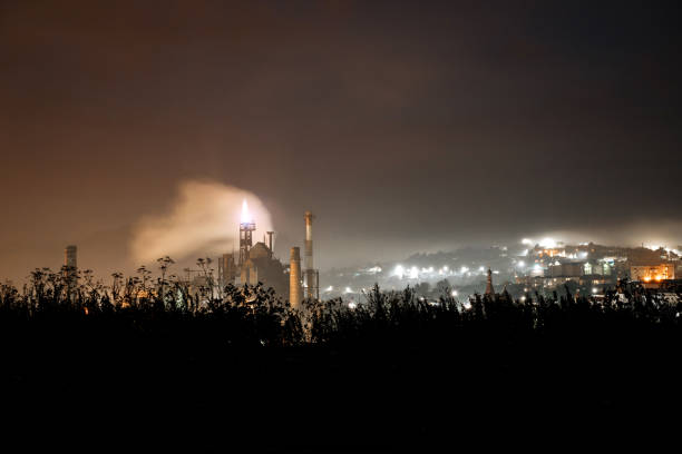 Giant industrial plant. Night view.