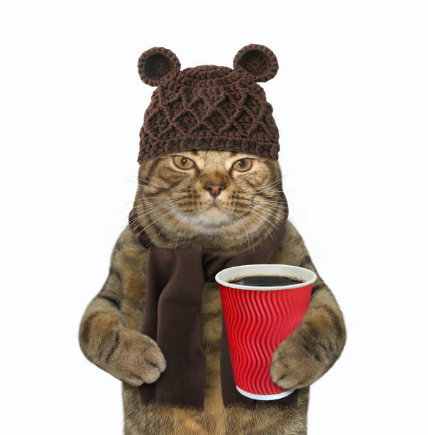 istock Cat in woolly hat with coffee 2 1173515262