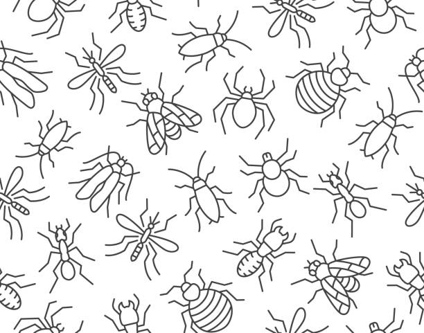 pest control bezešvý vzor s plochými ikonami čar. pozadí hmyzu - komár, pavouk, moucha, šváb, mramen, termitové vektorové ilustrace pro vyhlazovací službu - hmyz stock ilustrace