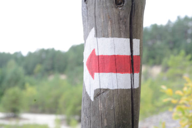 istock Walking trail marks and signs on trees showing direction for hikers in forest 1173517683