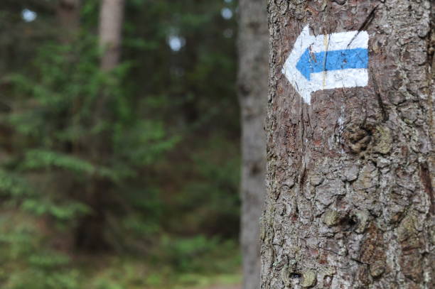 istock Walking trail marks and signs on trees showing direction for hikers in forest 1173517684