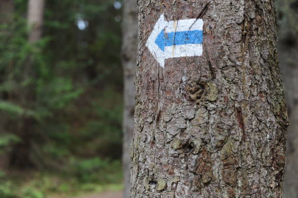 istock Walking trail marks and signs on trees showing direction for hikers in forest 1173518222