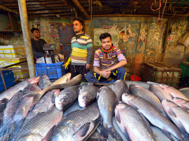 DHAKA, BENGAL BANGLADESH - 26 JANUARY 2019: Seller of fish on the packed market in the capital city of Bangladesh, Dhaka