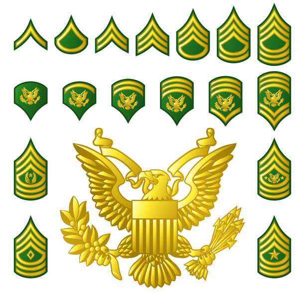 armia wojskowa zaciągnął rangi insignia - colonel stock illustrations