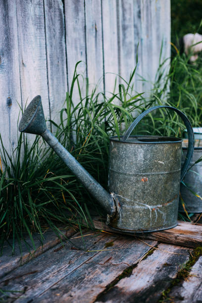 istock Vintage Style Gardening with Watering Can 1173522322