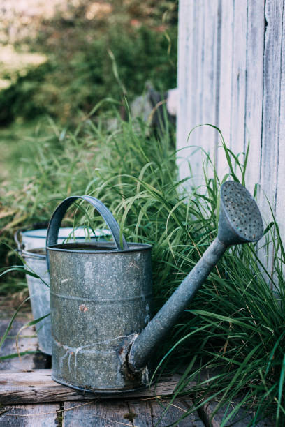 istock Vintage Style Gardening with Watering Can 1173522345