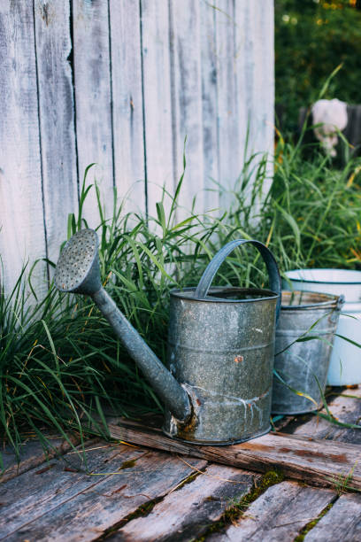 istock Vintage Style Gardening with Watering Can 1173522387