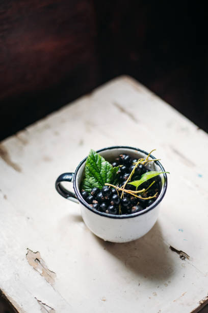 istock Black Currant in old pot  on retro background 1173524462