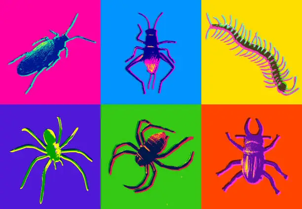 Vector illustration of Halloween Insect Icons