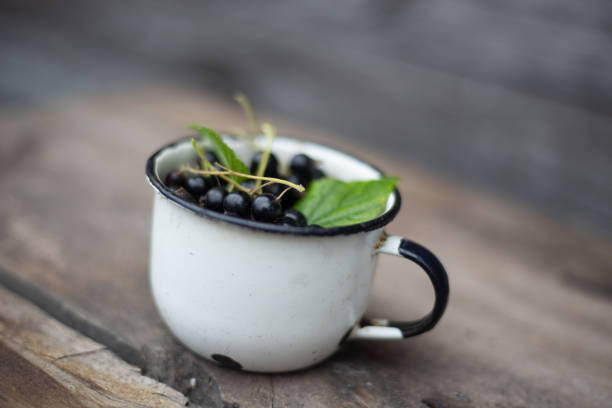 Black Currant in old pot  on retro background