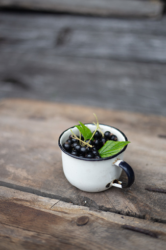 Black Currant in old pot  on retro background