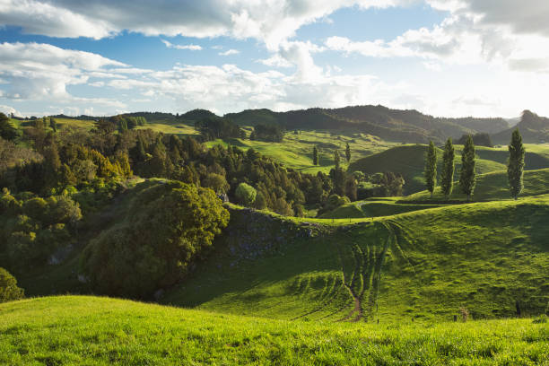 Neuseeland Landschaft, Waitomo Bereich – Foto