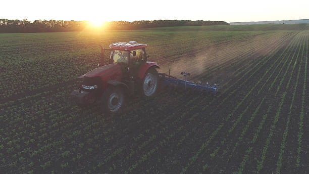 tracteur agricole dans le domaine de ressort sur le coucher du soleil - organic horizon over land horizontal crop photos et images de collection