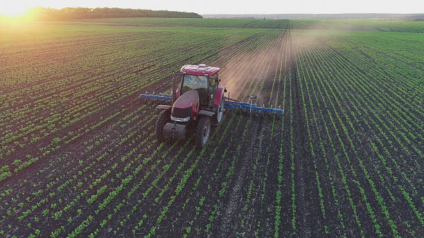 tracteur agricole dans le domaine de ressort sur le coucher du soleil - organic horizon over land horizontal crop photos et images de collection