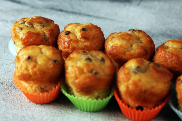 istock Chocolate muffin and nut muffin, homemade bakery on beautiful rustic background 1173529501