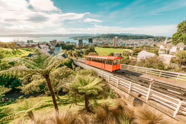 Aerial view over the city of Wellington, New Zealand, with a cable car climbing up the hill in the middle.