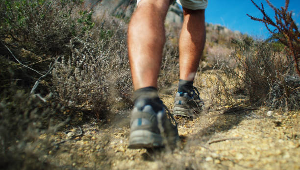 istock Put on the shoes and get moving 1173540481
