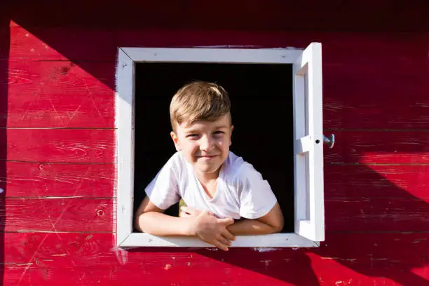 Happy little boy playing in three house and looking at camera through the window.