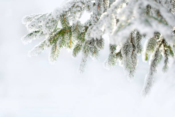 istock Christmas Winter Background with Snow 1173542710