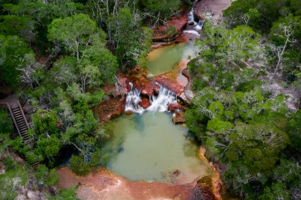 twin falls - rainforest waterfall australia forest fotografías e imágenes de stock