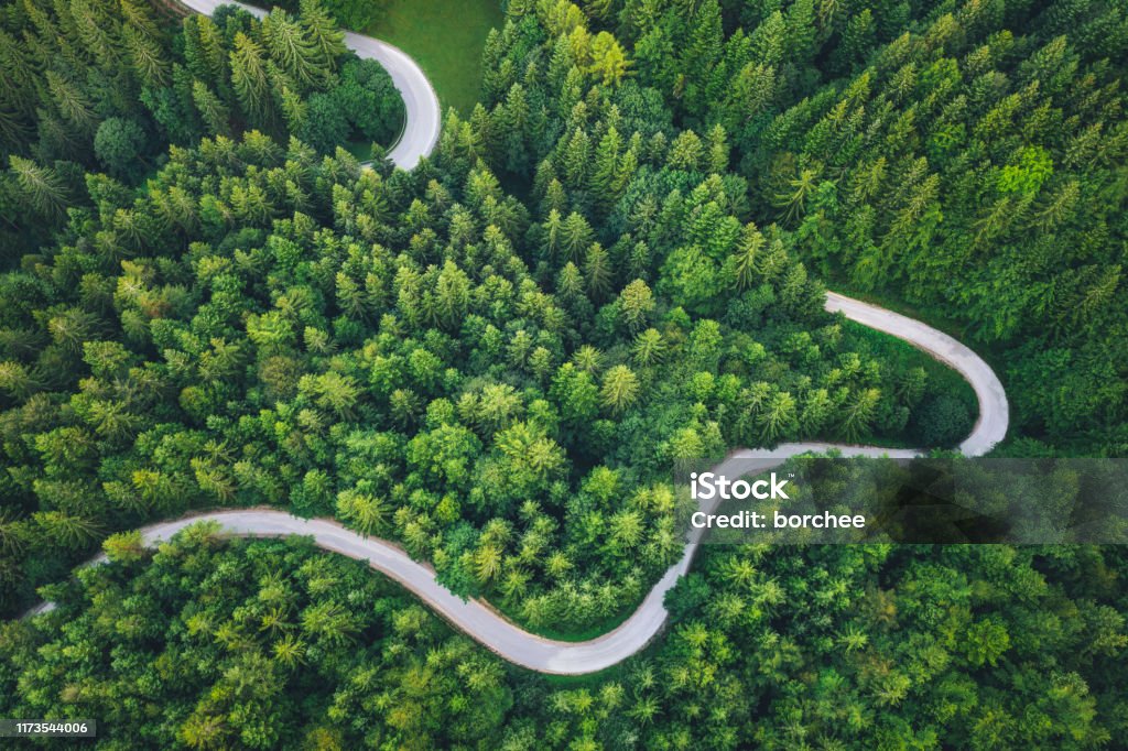Winding Road Idyllic winding road through the green pine forest. Sustainable Resources Stock Photo