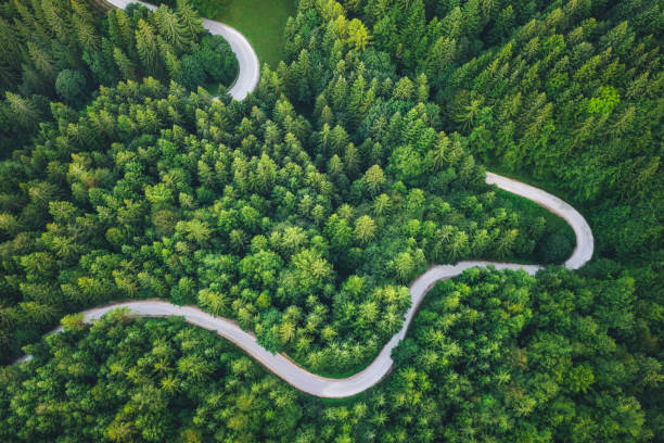 Winding Road Idyllic winding road through the green pine forest. drone point of view road stock pictures, royalty-free photos & images
