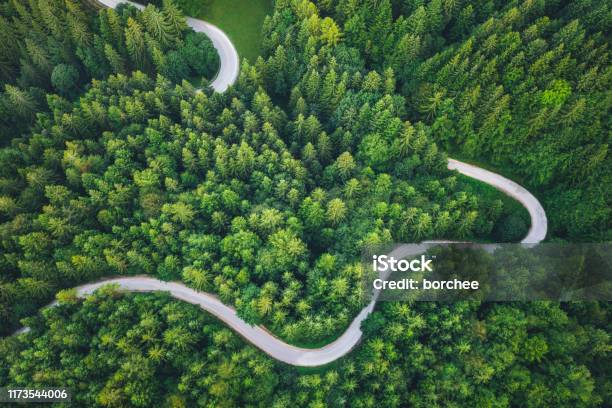Winding Road Stock Photo - Download Image Now - Sustainable Resources, Forest, Nature