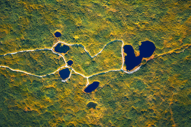 vue aérienne sur les lacs de montagne - mountain nature abstract forest swamp photos et images de collection