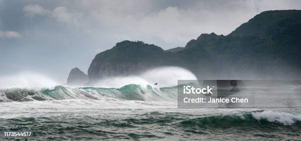 Surfing At Piha Beach West Auckland Stock Photo - Download Image Now - Surfing, New Zealand, Breaking Wave