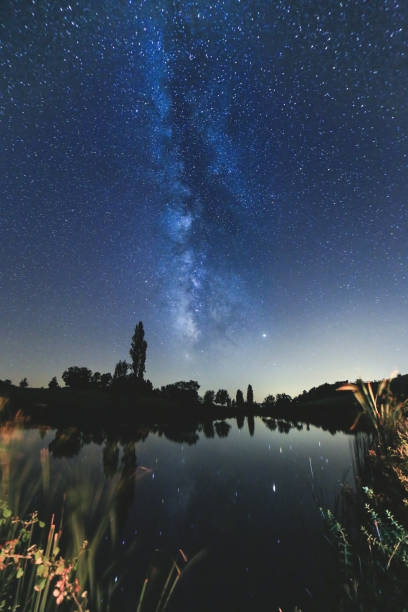 istock camping under the stars at night 1173547407