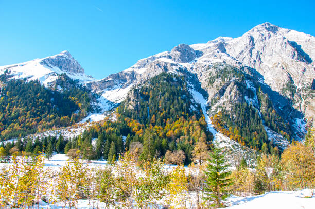 istock Winter in the Alps 1173548640