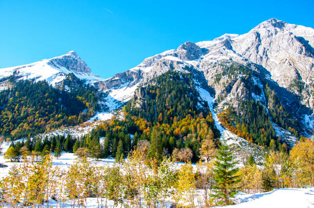 istock Winter in the Alps 1173548657